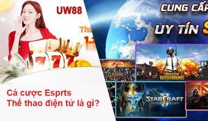 ca cuoc esports la gi