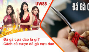 Đá gà cựa dao tại UW88