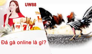 da ga online uw88