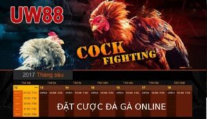 đặt cược dá gà online UW88