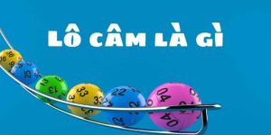 Lo-cam